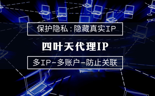 【肇庆代理IP】什么是代理ip池？如何提高代理服务器的网速